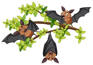 Bat cartoons
