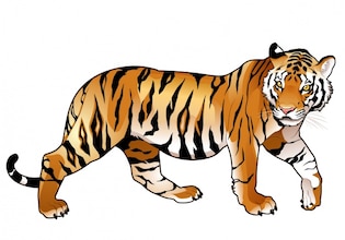 Tiger vectors