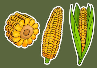 corn clip arts