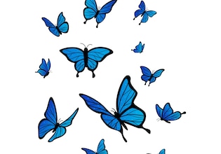 Butterfly backgrounds