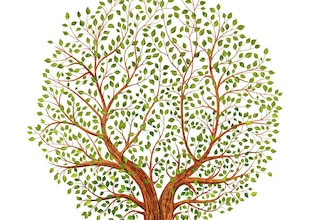 Tree vectors