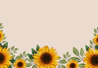Sunflower backgrounds